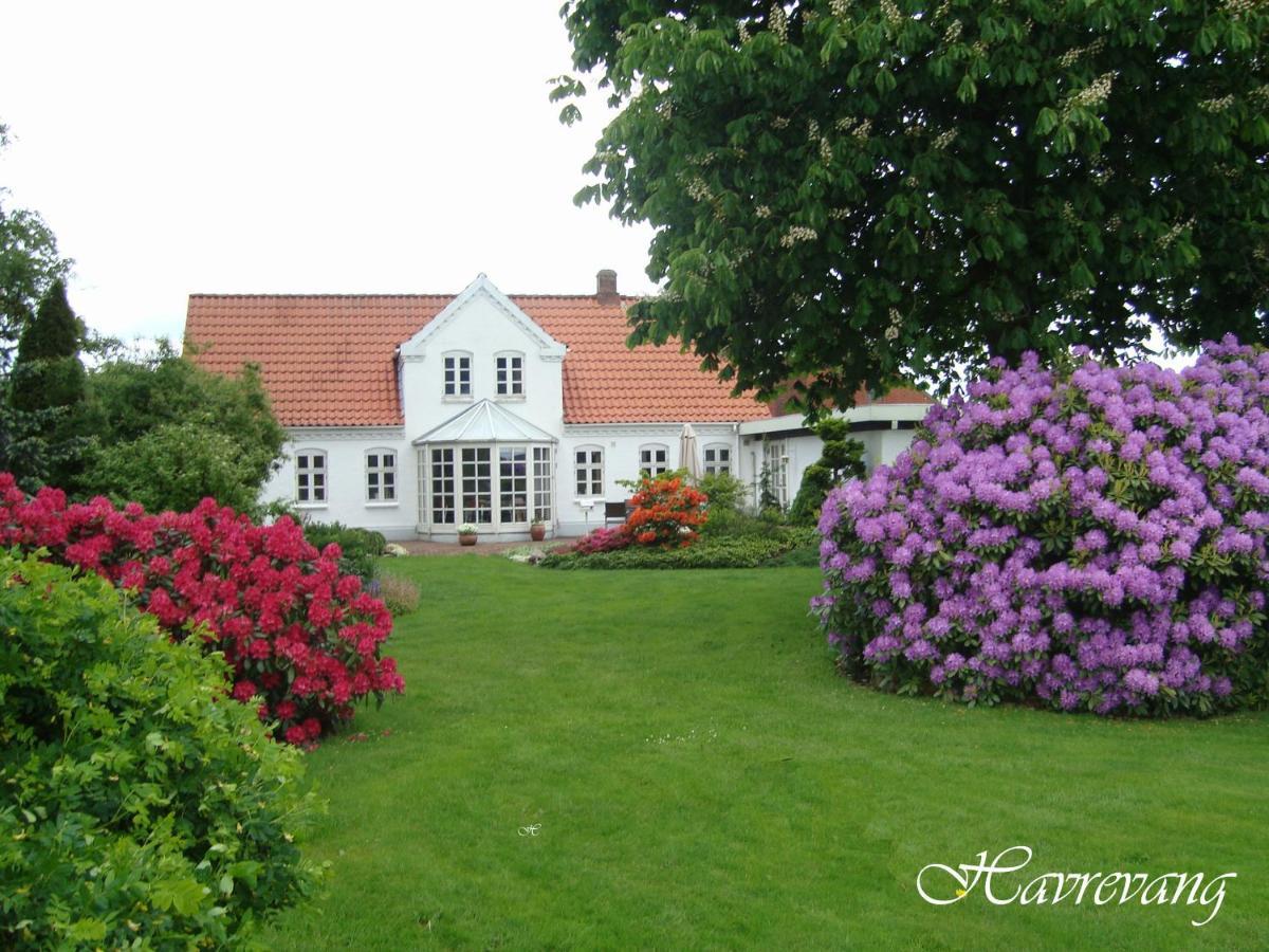 Havrevang Billund Exterior foto